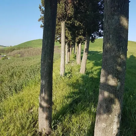 Niccoli * Castelfiorentino