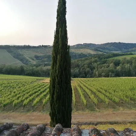 Niccoli * Castelfiorentino